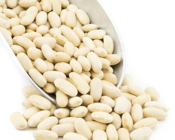 White Bean Main